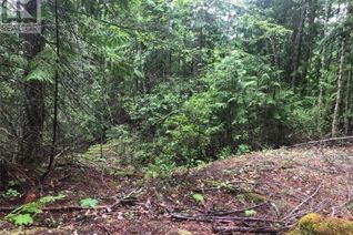 Vacant Residential Land for Sale, Lot 45 Lichen Road, Anglemont, BC