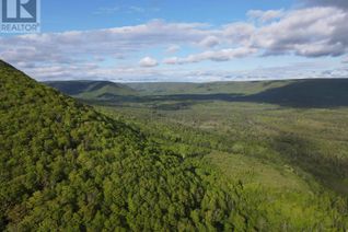 Land for Sale, 19564 Marsh Brook Road, Margaree Valley, NS