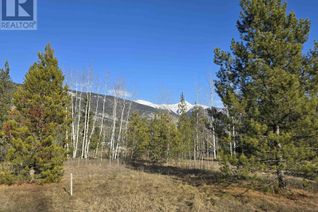 Commercial Land for Sale, 1 13th Avenue #LOT, Valemount, BC