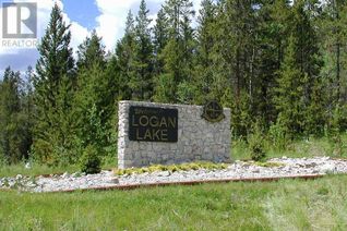 Land for Sale, 339 Poplar Drive, Logan Lake, BC