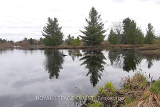 Land for Sale, 26-28 Chisholm Tr, Kawartha Lakes, ON
