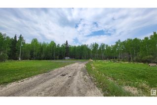 Commercial Land for Sale, 50118 Range Road 91, Rural Brazeau County, AB