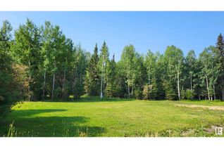 Commercial Land for Sale, 50118 Range Road 91, Rural Brazeau County, AB