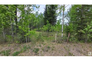 Property for Sale, Twp 501 Range Road 91 Lot 2, Rural Brazeau County, AB