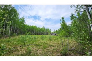 Property for Sale, Twp 501 Range Road 91 Lot 3, Rural Brazeau County, AB