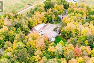 Commercial Farm for Sale, 12019 Greystead Drive, Denfield, ON