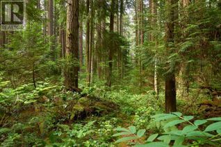 Land for Sale, Lot 1 Mountain Highway, North Vancouver, BC