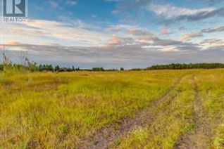 Land for Sale, 88075 206 Avenue Sw, Rural Foothills County, AB