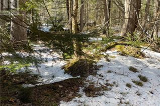 Commercial Land for Sale, Lot 12-Con10 Barryvale Road, Calabogie, ON