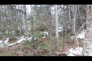 Land for Sale, Lower Cross Road, Youngs Cove, NS