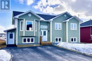 Detached House for Sale, 20 Bare Mountain Road, CLARENVILLE, NL