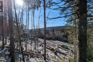 Vacant Residential Land for Sale, Lot Forest Dr, Alma, NB