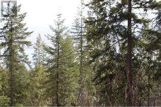 Commercial Land for Sale, 158 Columbia Drive, Anglemont, BC