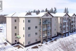 Property for Sale, 5205 Woodland Road #201, Innisfail, AB