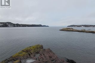 Commercial Land for Sale, 43 Cove Road, Colliers, NL
