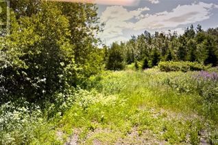 Commercial Land for Sale, 52 Rue Temis, Saint-Jacques, NB