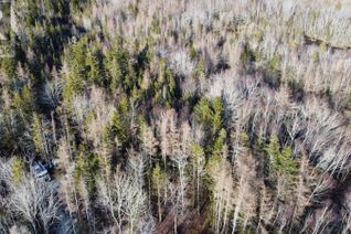 Property for Sale, Lot Egypt Road, Pleasant Lake, NS