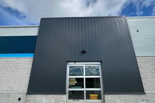 Non-Franchise Business for Sale, 710 Torbay Road, St. John's, NL