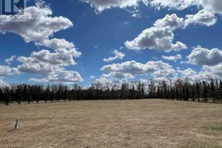Commercial Land for Sale, 5201 Westview Drive, Rimbey, AB