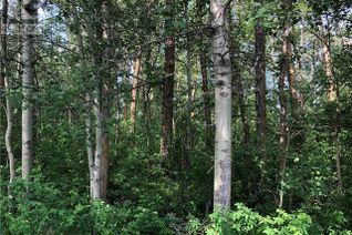 Land for Sale, Lot 15 Campsite Road, Plamondon, AB