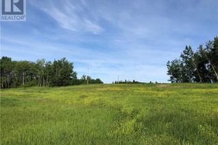 Land for Sale, Lot 12 Campsite Road, Plamondon, AB