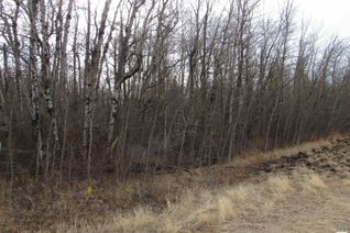 Commercial Land for Sale, Rge Rd 32 Hwy 654, Rural Barrhead County, AB