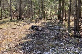 Commercial Land for Sale, 44 Miller Lake Road, Northern Bruce Peninsula, ON