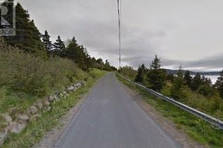 Land for Sale, 150 Salmon Cove Road, South River, NL