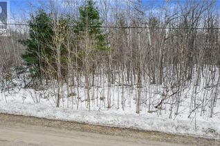Commercial Land for Sale, Legree Street, Calabogie, ON