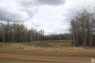 Commercial Land for Sale, 225 50072 Rge Rd 205, Rural Camrose County, AB