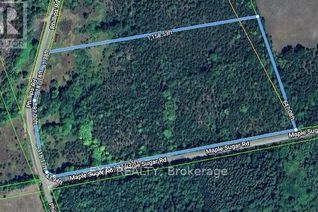 Commercial Land for Sale, 01 Phillips Road, Tyendinaga, ON