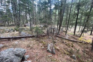 Commercial Land for Sale, 2267 Old Hedley Road, Princeton, BC