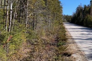 Commercial Land for Sale, 6 Dunn Street, Northern Bruce Peninsula, ON