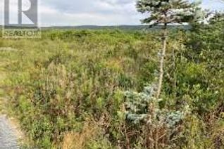 Land for Sale, 737 Conception Bay Highway, Spaniards Bay, NL