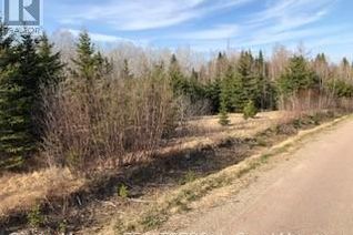 Property for Sale, 3227 Route 495, South Branch, NB