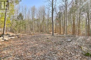 Land for Sale, 0 Quin-Mo-Lac Road, Centre Hastings, ON