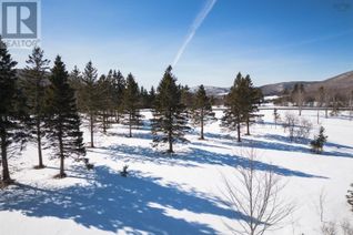 Land for Sale, Lot 1 Highway 19, Hawleys Hill, Mabou, NS