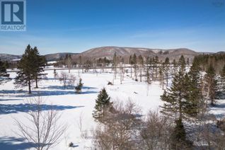 Commercial Land for Sale, Lot 2 Highway 19, Hawleys Hill, Mabou, NS