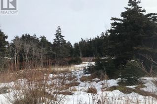 Land for Sale, 0 Main Road, Birchy Cove, NL