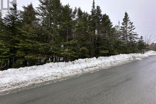 Commercial Land for Sale, 24 Valley Road, Spaniards Bay, NL