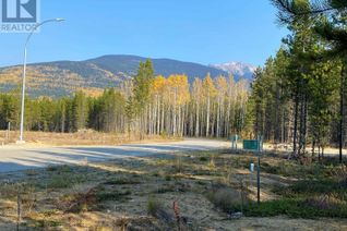 Commercial Land for Sale, 1205 Fowler Place, Valemount, BC