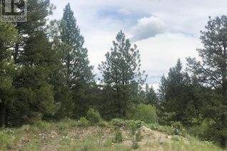 Land for Sale, 410 Sasquatch Trail, Osoyoos, BC