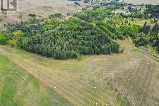 Commercial Land for Sale, 30 Acres Along 288 Street W, Rural Foothills County, AB