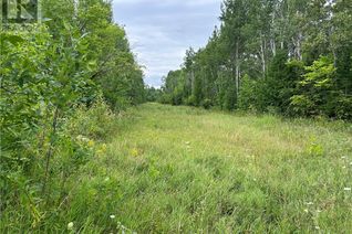 Property for Sale, Lot 31 Cardwell Street, Manitowaning, Manitoulin Island, ON