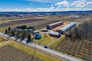 Commercial Farm for Sale, 3762-3766 Greenlane Road, Beamsville, ON