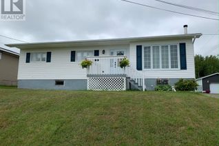 Property for Sale, 168a Main Street, Carmanville, NL