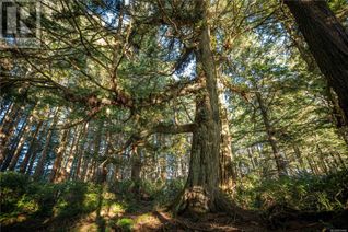 Commercial Land for Sale, 0 Francis Island, Ucluelet, BC