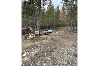 Land for Sale, 8828 North Hirtz Street, Elko, BC