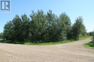 Commercial Land for Sale, 7 Buffalo Drive, Rural Stettler No. 6, County of, AB