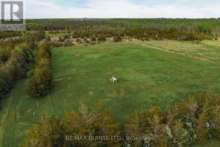 Commercial Land for Sale, 2526 County Road 5 Road, Prince Edward County, ON